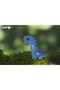 Puzzle 3D, Eugy, Model dinozaur, Albastru - 5