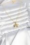 316L Steel Chain Gold Color Zircon Stone Star Model Women's Necklace - 2