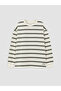 Khaki Crew Neck Striped Boys' T-Shirt