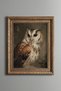 Owl Portrait - Vintage Patterned Painting - Thick Model