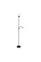 Mabli 2-Light Floor Lamp 24x24x178cm - Black - 2