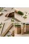 Customized for Your Logo: 100 Pieces of Environmentally Friendly Natural Pencil Set with 569 Pine Seeds - 3