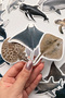 Dolphins, Whales, Sea Turtles, Jellyfish 30 Pieces Sticker Pack Waterproof Laptop Thermos Phone Sticker Set - 6