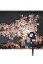 LED garden light with adjustable ground socket and spotlight function, IP65 protection rating. - 2