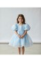 Blue Caroline Balloon Skirt Balloon Sleeves Ribbon Girls' Baby Girl Dress