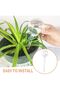 A set of 6 glass watering balls for automatic watering of plants. Suitable for both indoor and outdoor plants. Available in large and small sizes. - 4