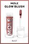 Glow Blush Permanent Radiant Coffee Liquid Blush - Rust