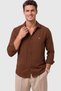 Men's Brown Wrinkle-Free Shirt Relaxed Fit 97% Cotton Lycra Embroidered 2602631 - 2
