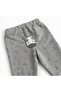 Unisex Baby Top and Bottom Set, Zebra Detailed, Gray Sweatshirt and Pants Set - 5