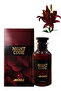 12 قطعة عطر نايت كود 100 مل - 3