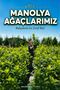 Manolya ağacı - 2