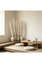 FFD Dried White Curly Willow Branches, Natural Decorative Twigs for Home & Event Styling - 7