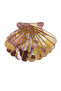 Seashell Patterned Marble Look Yellow Striped Hair Clip