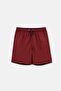 Burgundy Micro Medium Plain Swim Shorts