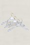 Business Class 20 Pieces 40 cm Plexiglass Transparent Gold Hook Clothes Hanger Coat Jacket Hanger - 3