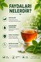 Stevia Tablet Sweetener 300 Tablets - 5