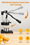 Heavy Duty Manual Hand Juicer – Alloy Body with Stainless Steel Strainer | Professional Citrus Fruit - 2