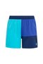 Children's Pool and Sea Shorts Swimsuit Cb Sh Y Jy9783 - 2