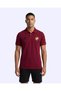 Paul Polo Men's Burgundy Regular Polo Collar T-Shirt