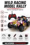 Wild Racing Model Rally RC Car - 2.4GHz Remote Control 4WD Vehicle - 2