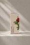 Rose Oil – Rose Oil 20ml |   Anti-Aging & Skin Care - 2