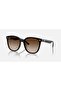 Rb4423D Sunglasses 66mm