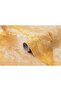 Adhesive Foil 2m Marble Pattern No:43 X 12 Rolls - 4