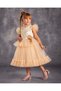 Evening Children's Dress