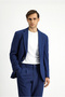 6 Drop Regular Fit Standard Cut Patterned Suit - 4
