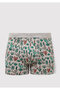 Cactus Patterned Gray Boxer 091122-23854