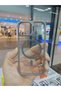 غطاء خلفي من الميكا متوافق مع آيفون 13/14 مع حامل