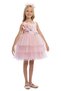 Girl Child 3-7 Years Old Three-Dimensional Floral Patterned Crown Tutu Dress Pink - 3