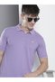 Men Purple Regular Fit Short Sleeve Polo