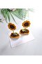 Sunflower Collection 2-Piece Handmade Organic Niche Hair Accessory - 3
