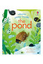 Peep Inside the Pond