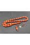 Hakan Kaya Usta's Collection of Native Tree Species: Scented Rosewood