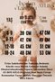 Baby Girl Birthday Party Wedding Dress Lace Floral Balloon Sleeve Tulle Romper - 4