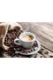 Hazelnut Vanilla Premium Whole Bean Flavored Coffee, Medium-Dark Roast, 907g - 3