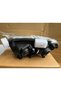 VW Polo Sol Far 2005 - 2009 - 2