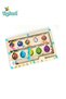 Magnetic Bead Maze Wooden Toy for Kids 3+ | Color & Number Learning Puzzle