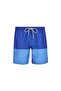 Men's Swim Shorts S282