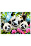 48 Piece 3D Puzzle and Plush Panda - 2