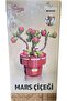 Blossom Mini Flower Block Toy Marigold 162 Pieces 6+ - 2