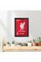 Alayra Liverpool FC White River Bird 3D Textured Logo Football Club Poster Framed Paintings - 2