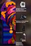Sdt Custom Cut Cubic Woman Portrait Patterned Pop Art Geometric Multi Color Purple Woven Base Decorative Carpet Sdtt1528 - 6