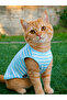 Cat Athlete Striped Summer Cat Outfit - Size m