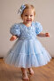 Girl's Princess Dress with Buckle, 3D Roses, Layered Tulle, Bow Detail, Birthday Party Wedding Special Occasion Dress, Ages 2-5 - 4