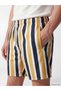 Vizyon New Season Short Length Striped Men's Swim Shorts - 3
