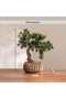 Bonsai Artificial Plant In Ceramic Pot 43x35.5x50.5cm - Green - 7