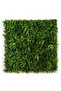Alpine Leafy Green Wall 100x100cm - Green - 3